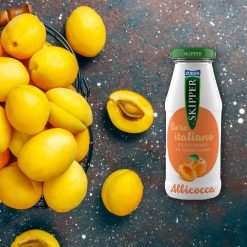 Italy | Skipper Italian Fruit Juice 200ml